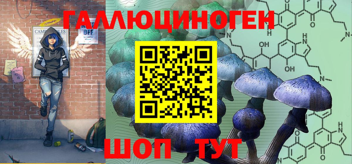 купить   Вход с VPN  Электрогорск  Галлюциногенные грибы Cubensis  Псилоцибиновые грибы GOLDEN TEACHER 